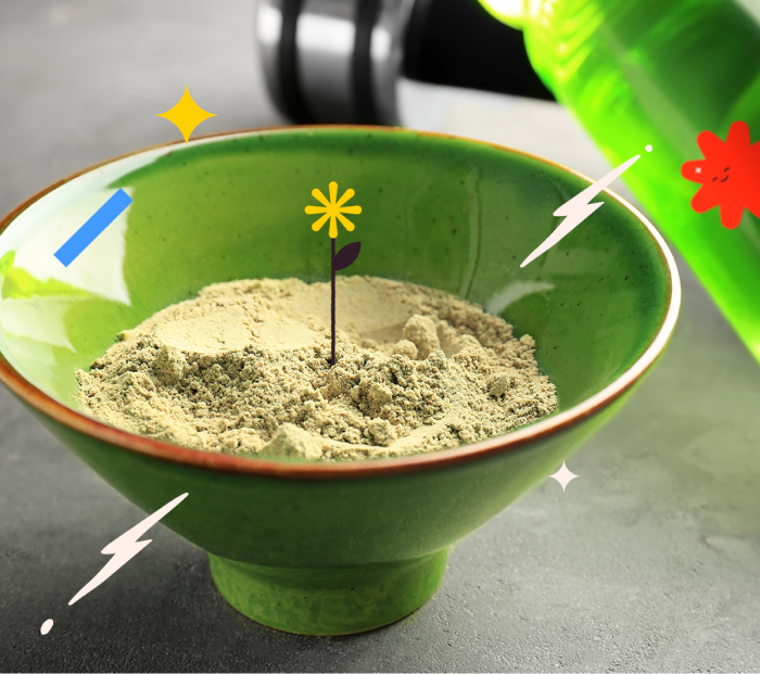 Hemp vs Pea Protein article_image